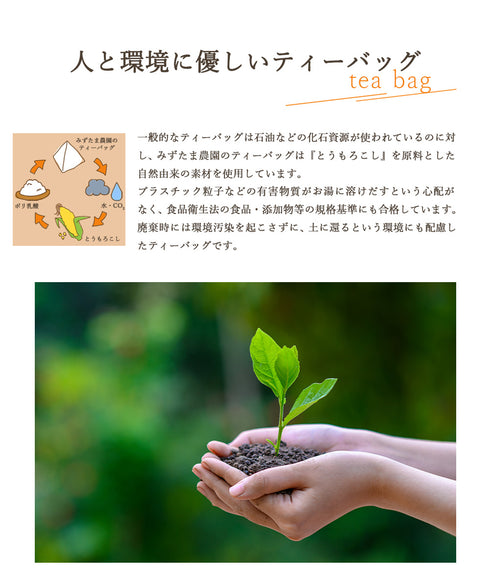 【メール便ギフト】ゴクゴクすっきり 和紅茶ティーバッグ 2g×50p